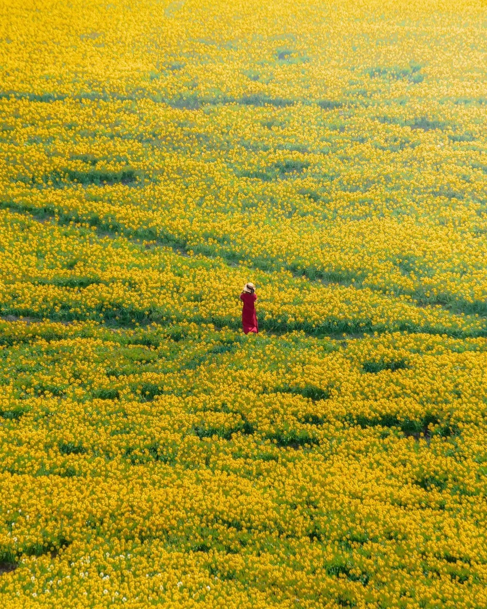 Biwako Valley 