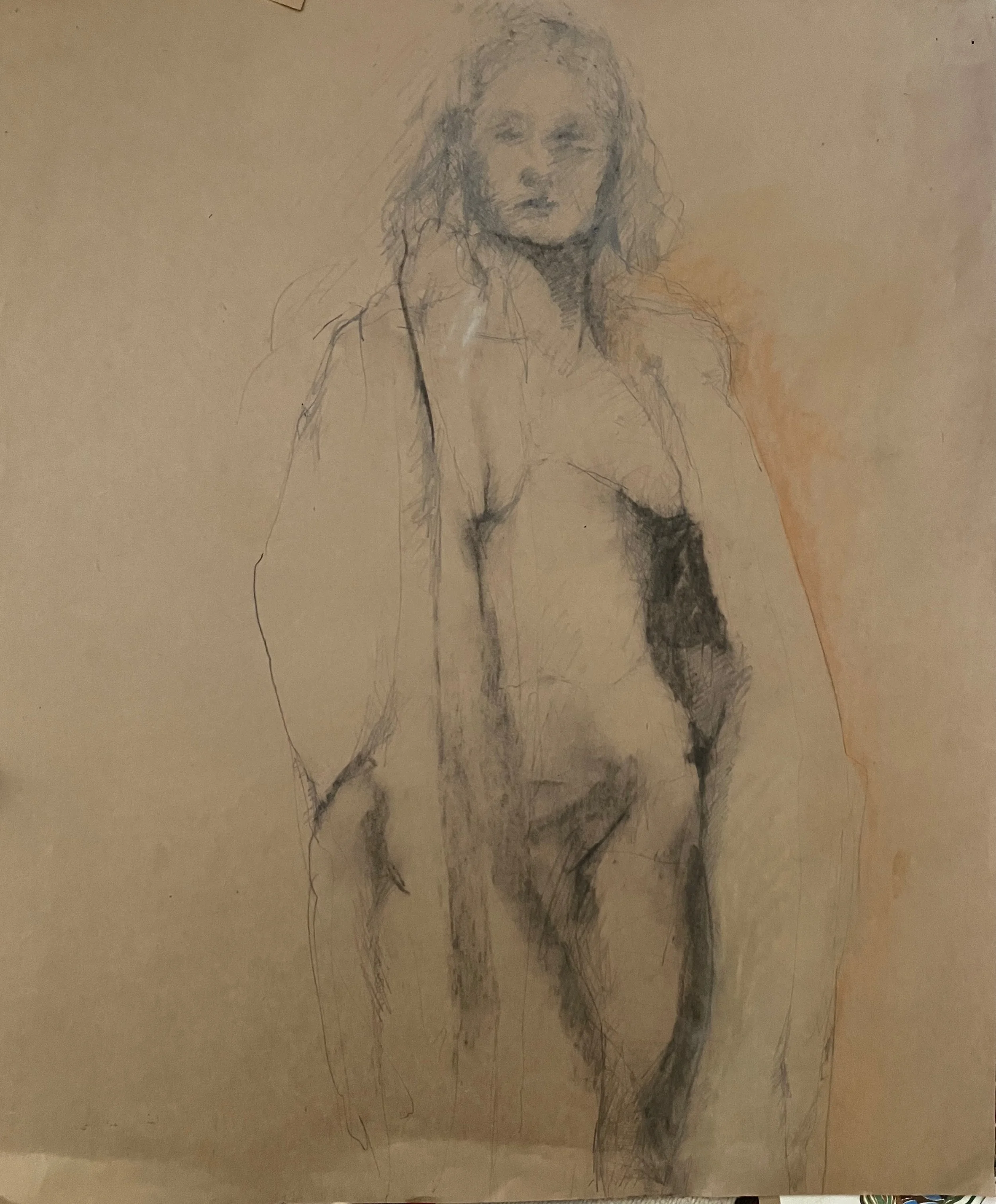 14. pencil and pastel on brown paper, 22.5 x 19, 1979