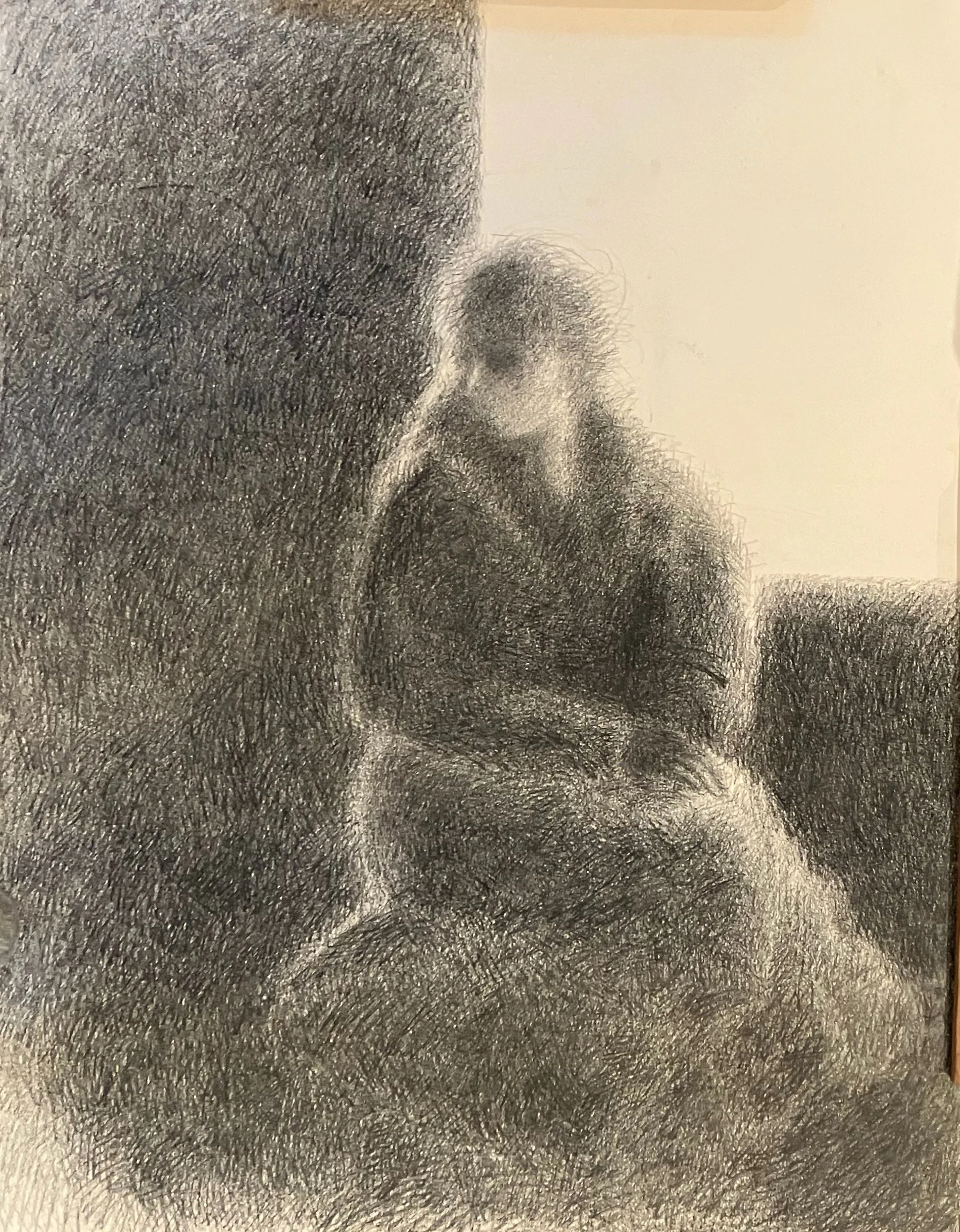 9. litho pencil on paper, 38x49, 1989