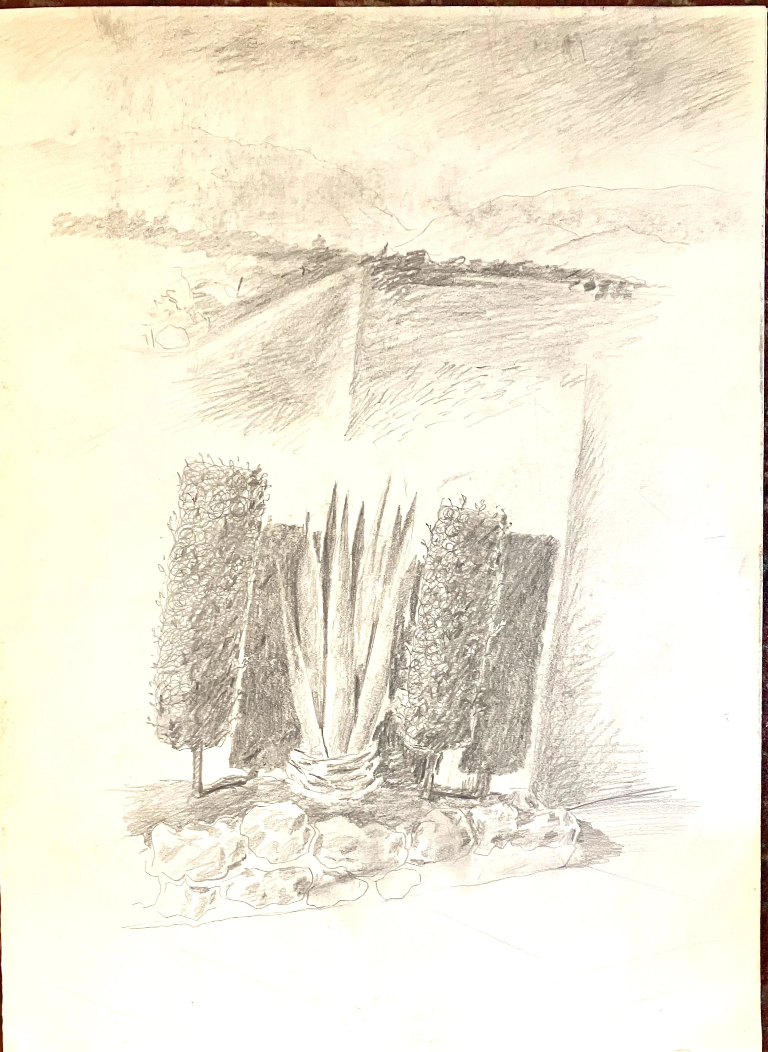 1. pencil on paper, 22 x 15