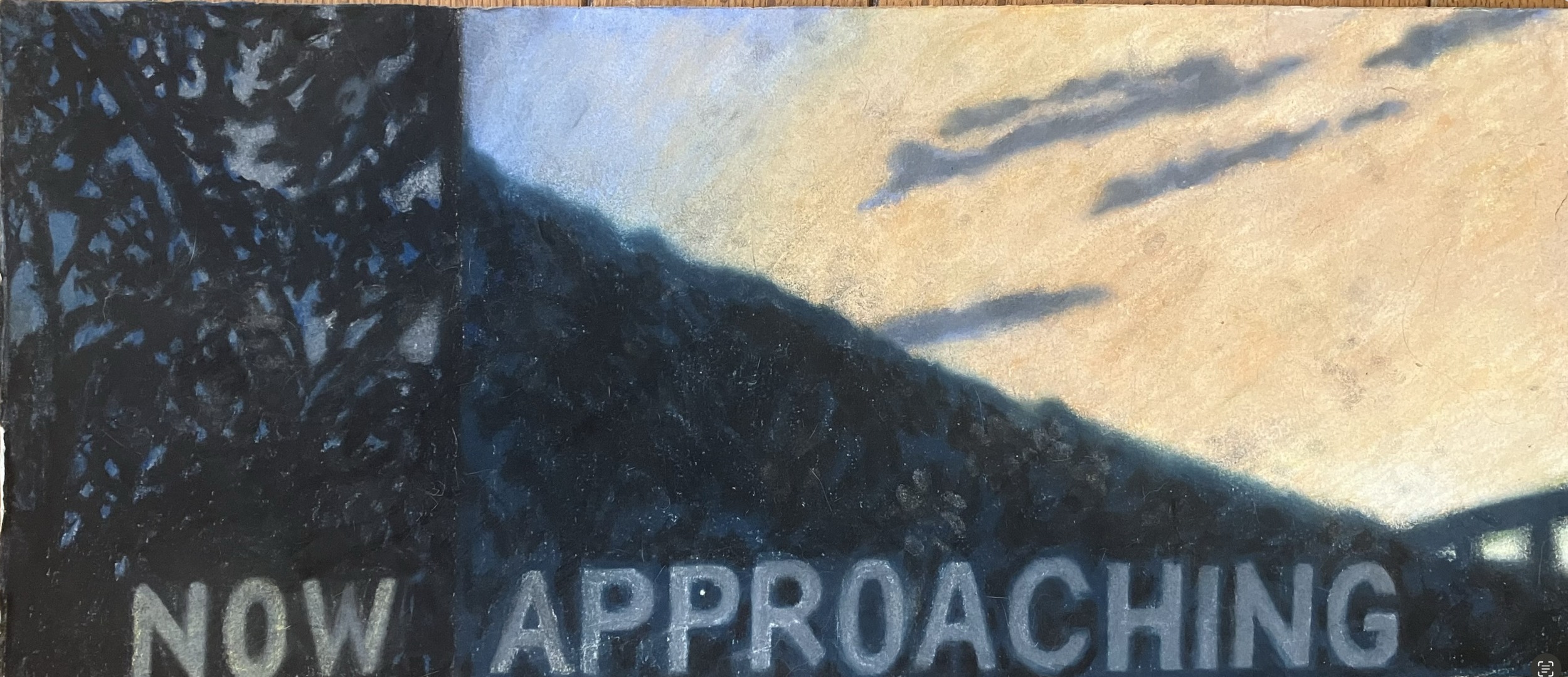 8. pastel on paper, 9.5 x 22.75, 1994