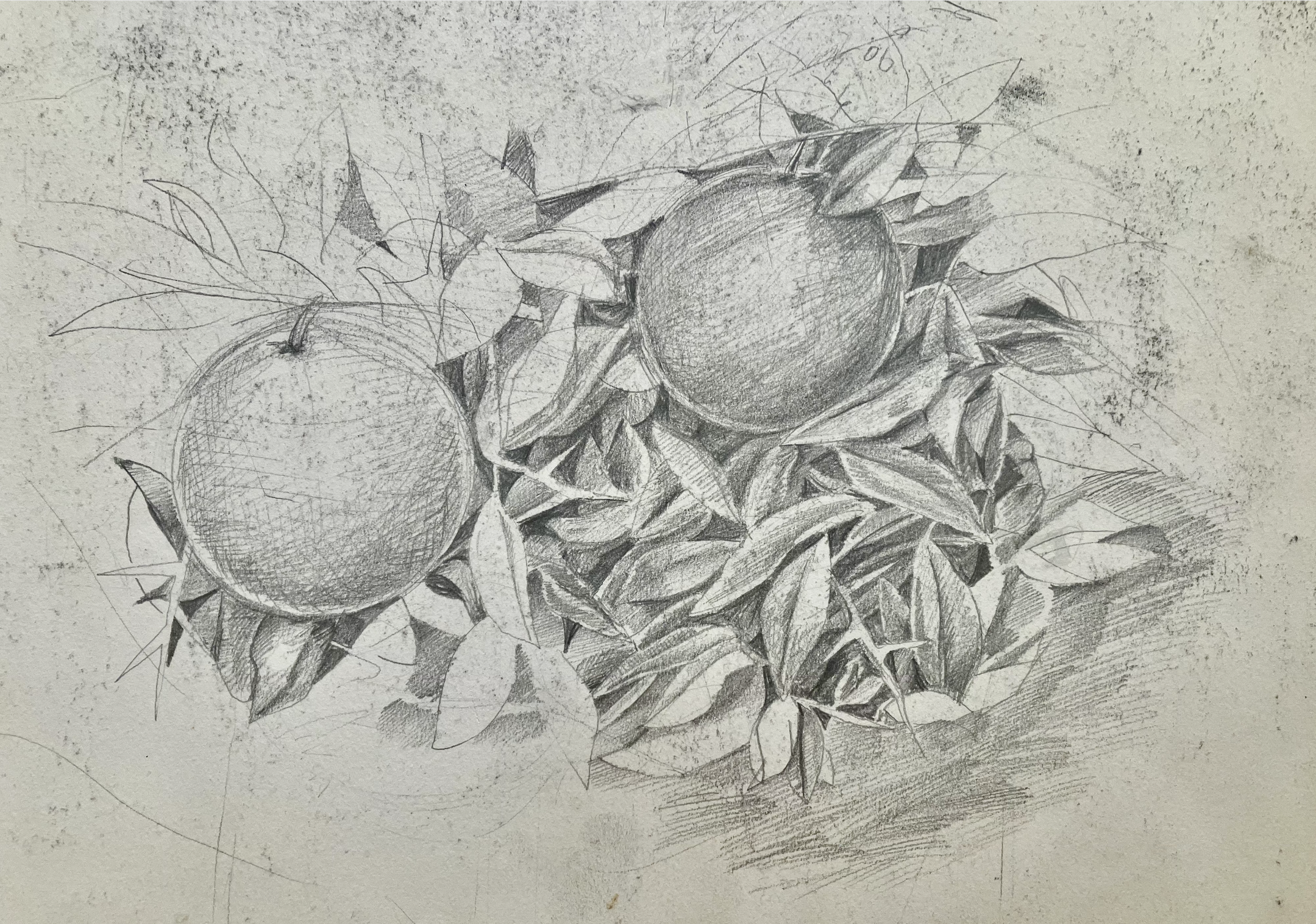RE-HOMED 9. pencil on paper, 10 x 15