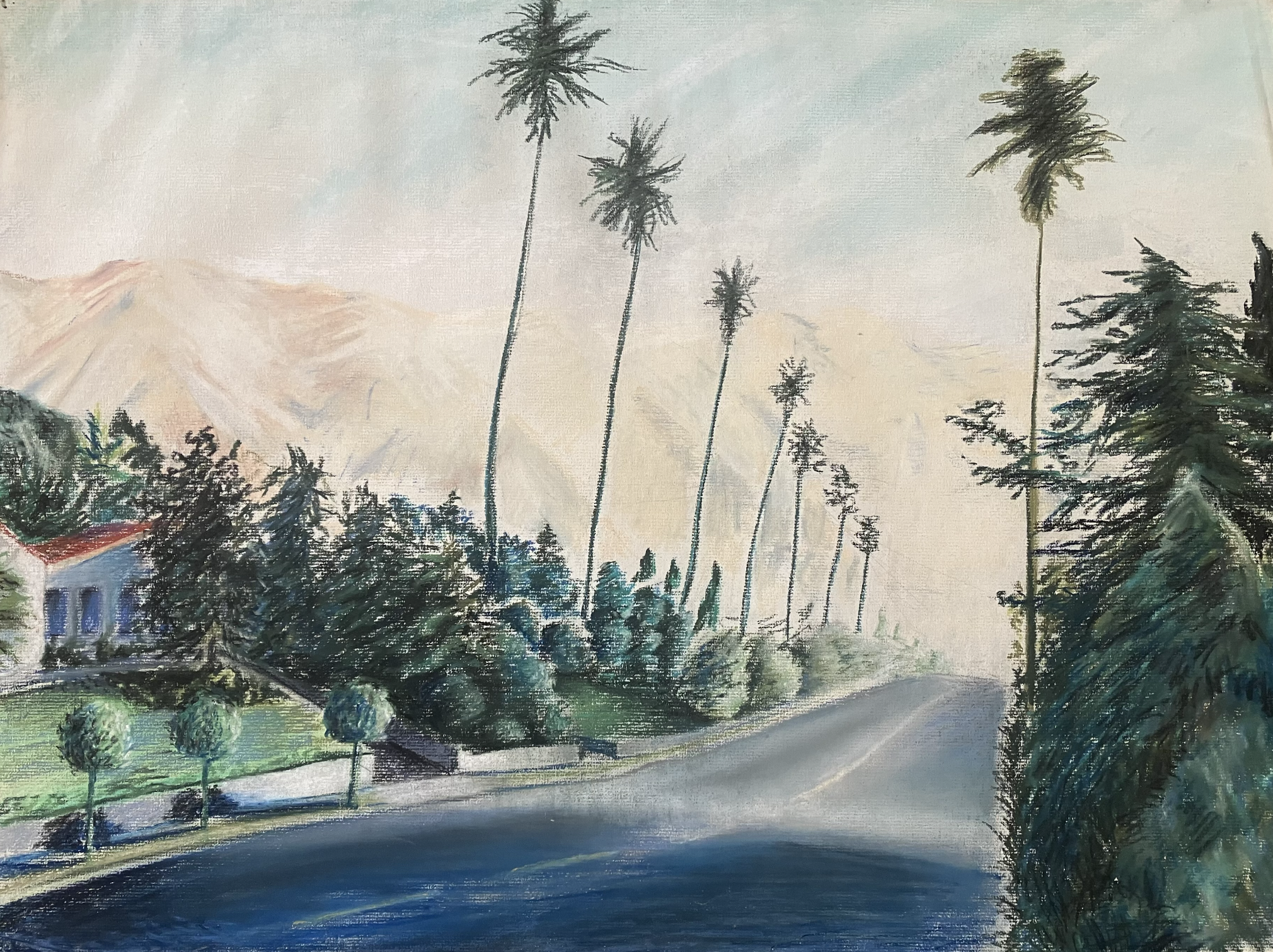 COLLECTION L.A. 2. pastel on paper, 19 x 25