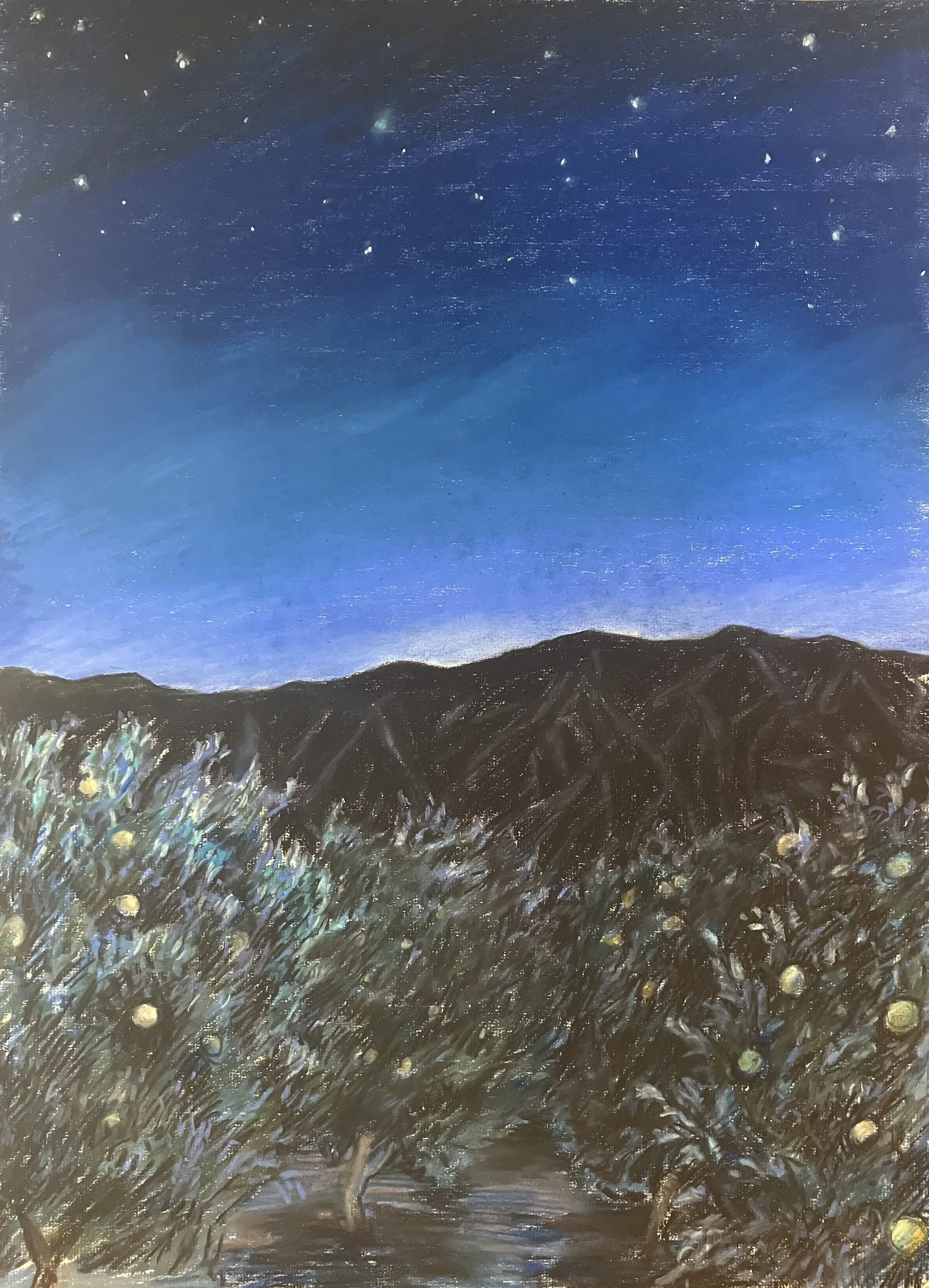 5. pastel on paper, 25 x 19