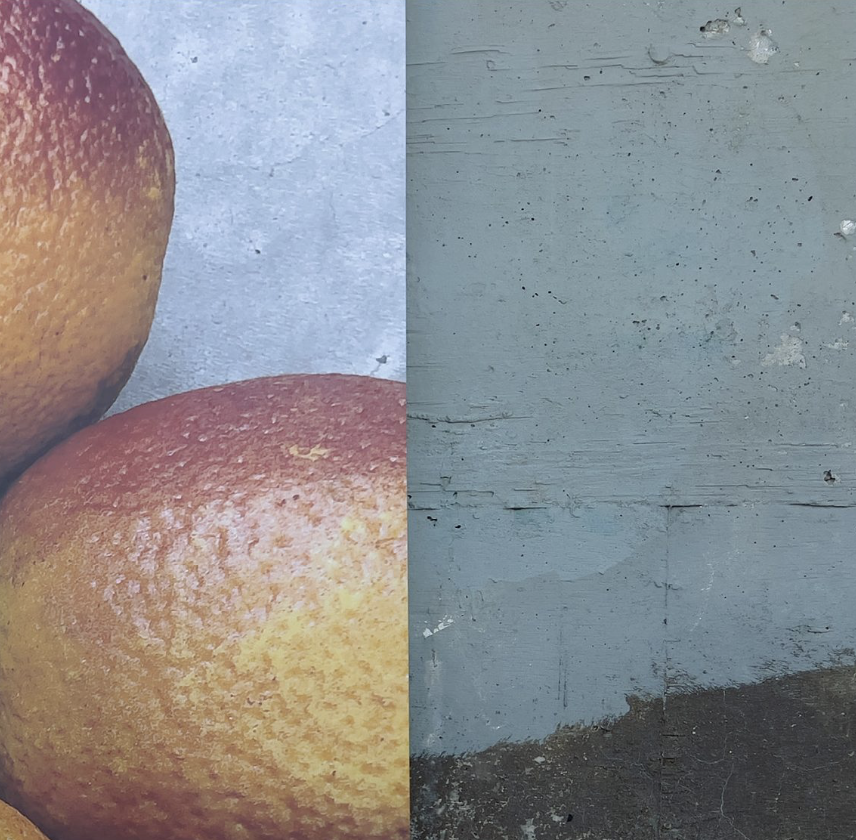 Screenshot 2023-06-07 at 12.44.22 PM.png