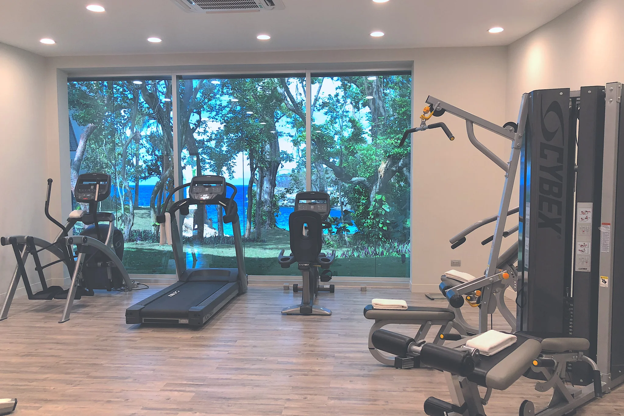 gym.jpg