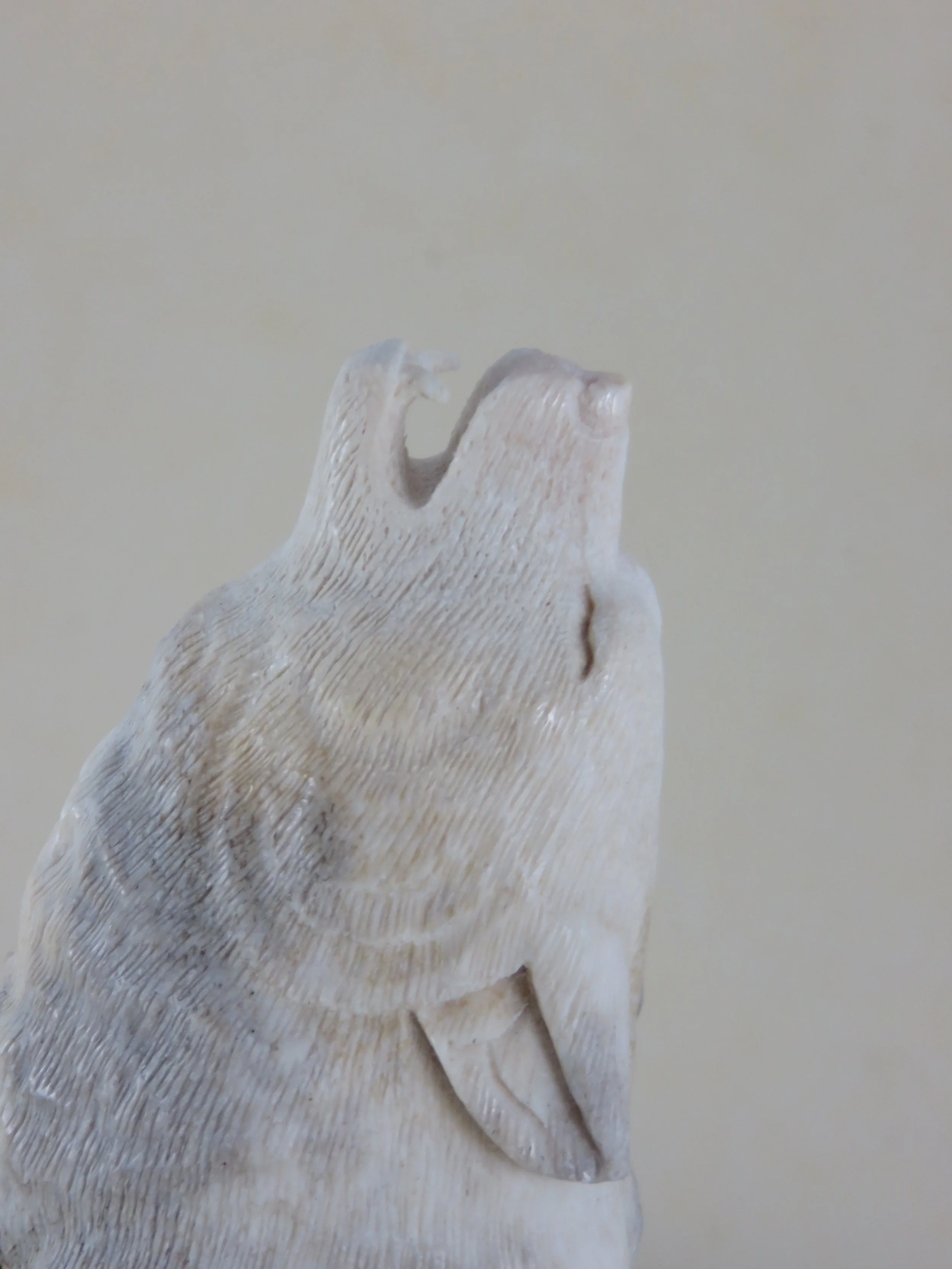 IMG_9908.JPG