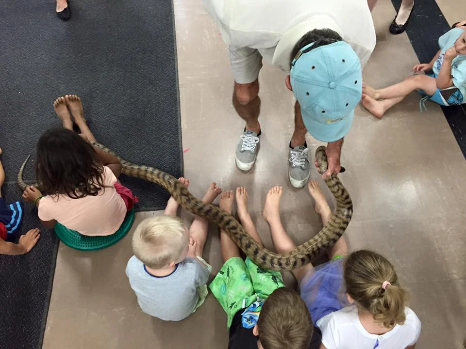 snake.jpg