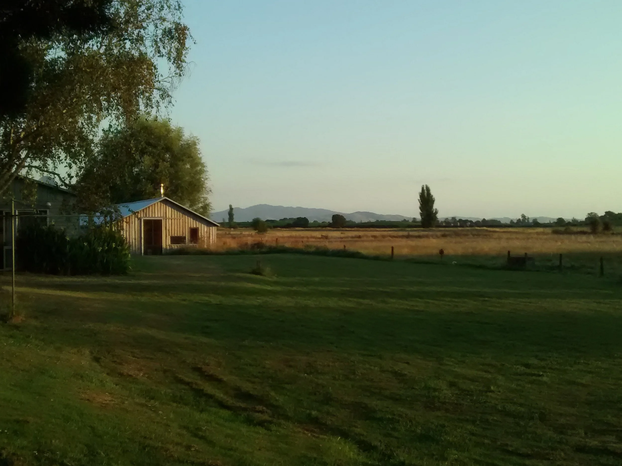 the workshop