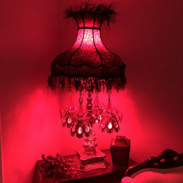 Gothic Victorian Lampshade