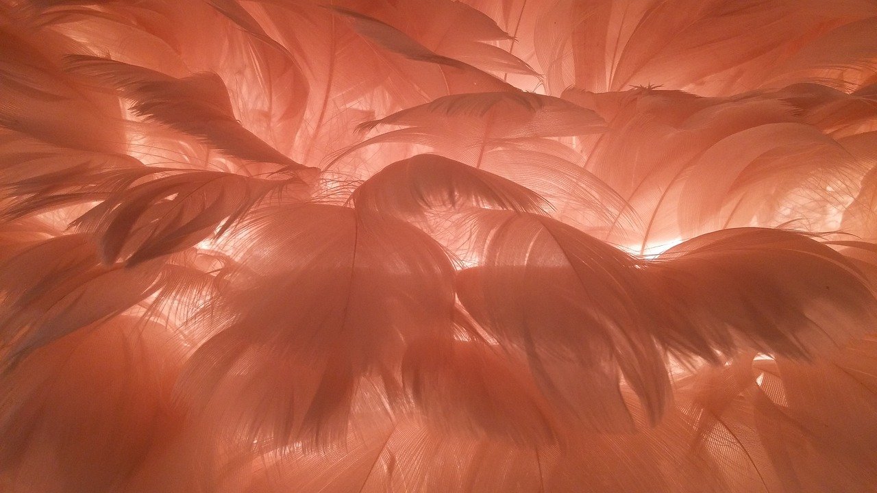 Feathers Lampshade.jpg