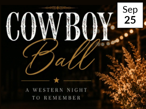 Cowboy Ball2.png