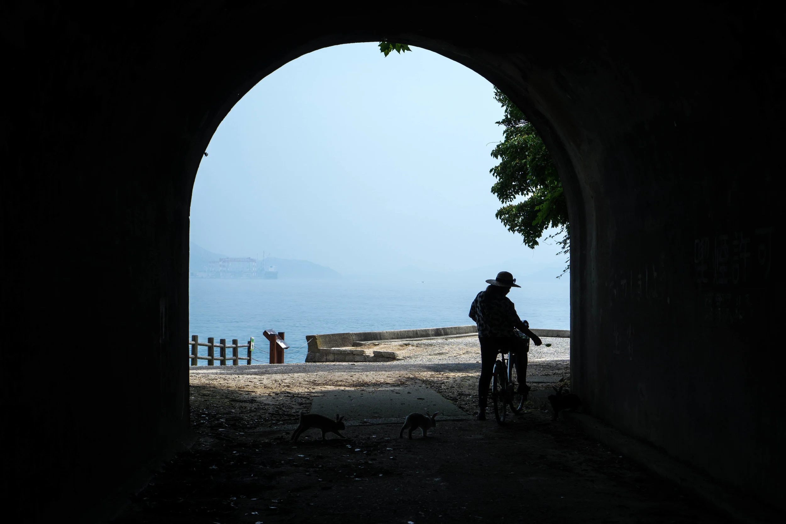 Rabbit Island II.jpg