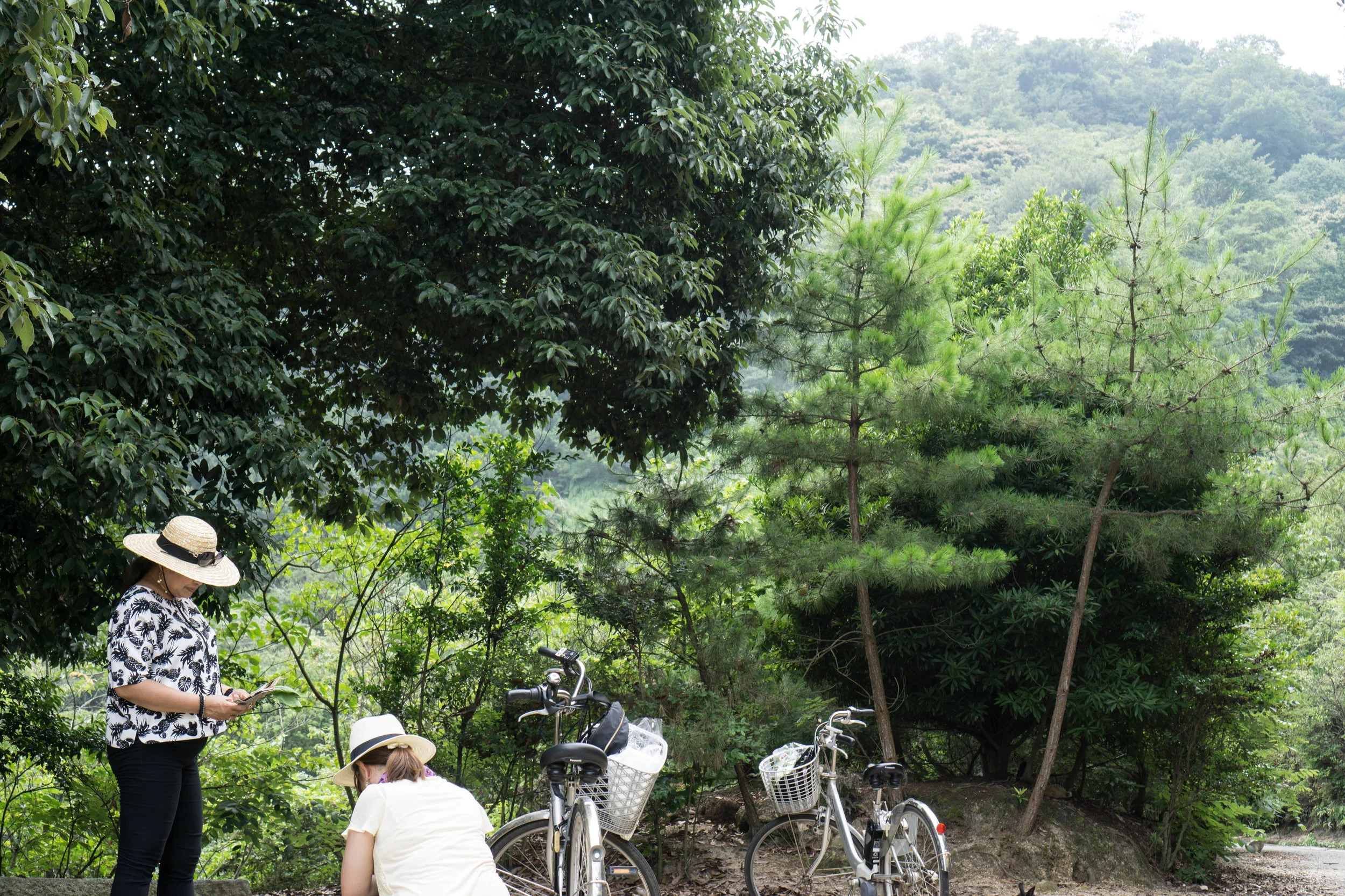 Rabbit Island IV.jpg