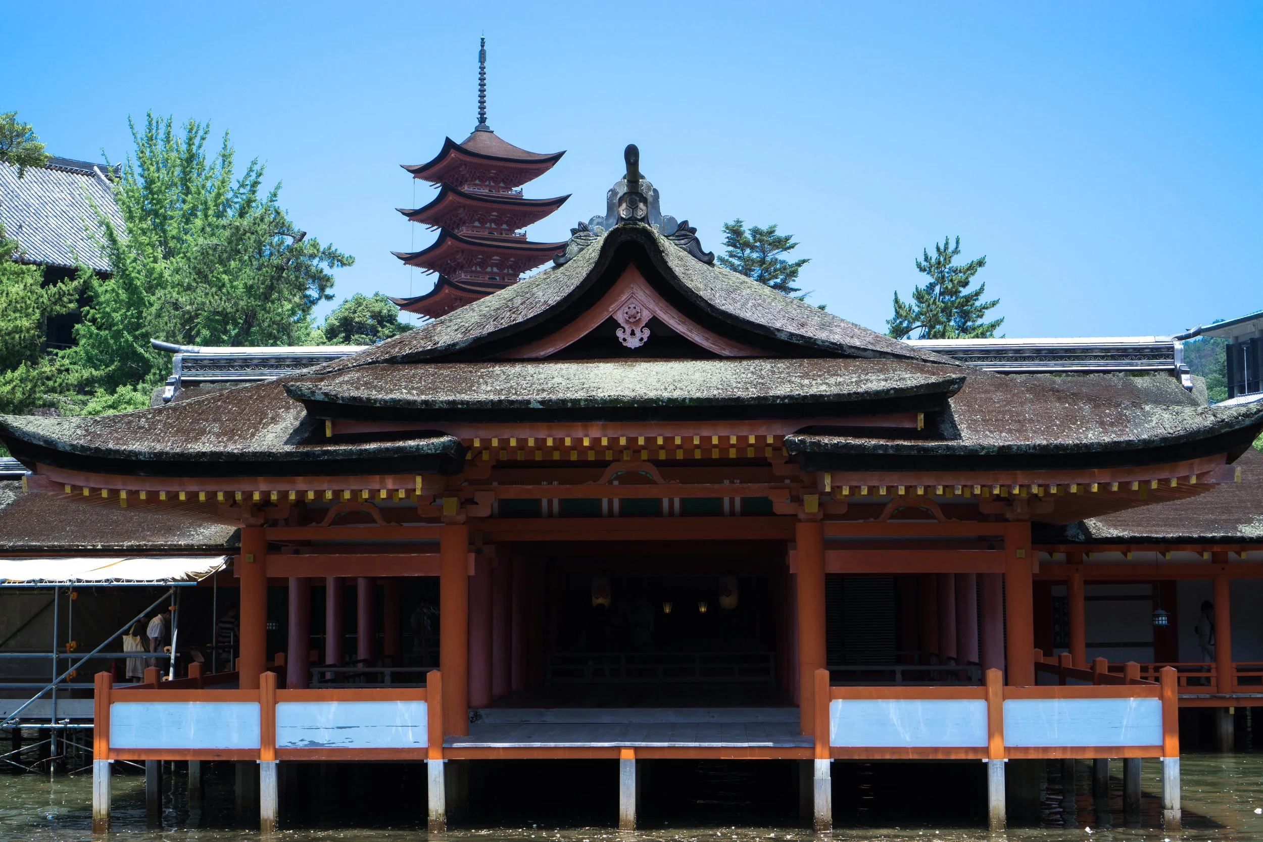 miyajima.jpg