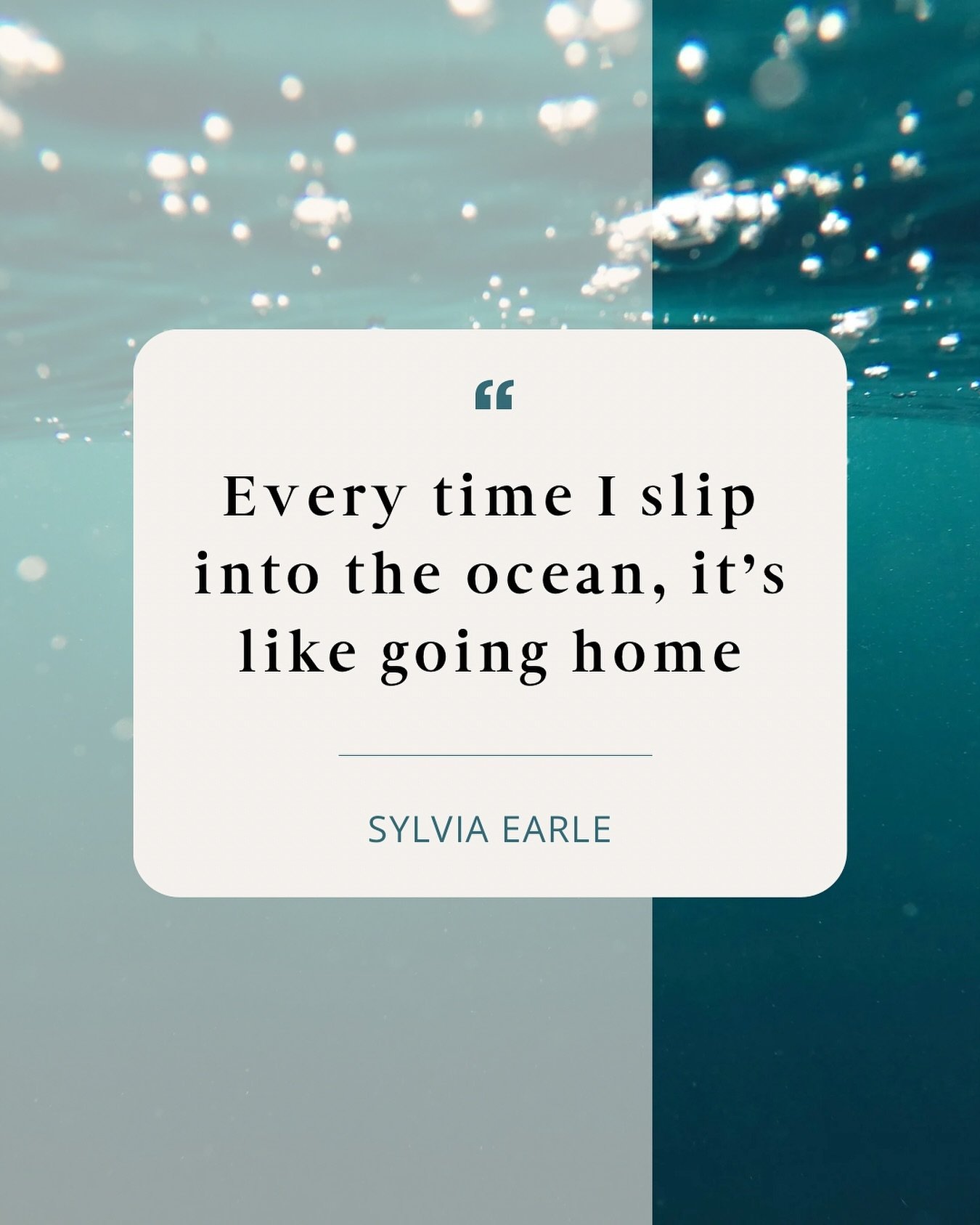 &ldquo;Every time I slip into the ocean, it&rsquo;s like going home&rdquo;

Sylvia Earle&rsquo;s words resonate deeply with the sense of homecoming we feel when we return to the water 🌊

Every time we return to the ocean, we&rsquo;re reminded of our