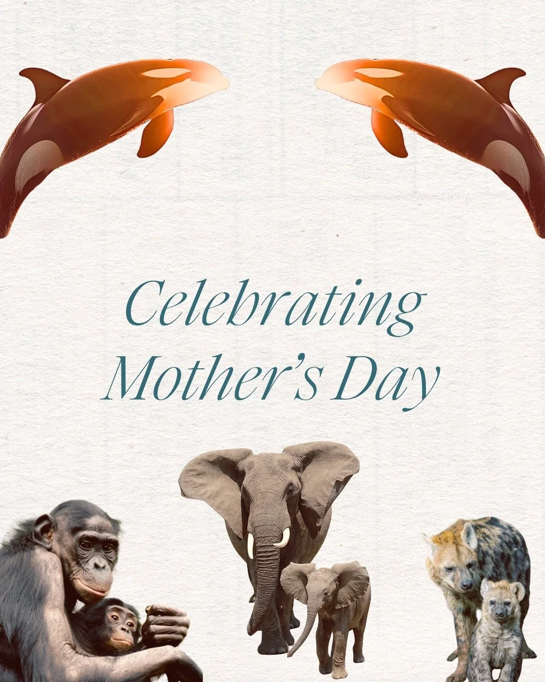 Today we&rsquo;re celebrating mothers, and the women and people who embody matriarchal values;  protecting children, the natural world, and the wellbeing of future generations 🌱

Mother's Day actually began as a protest against war.  Women coming to
