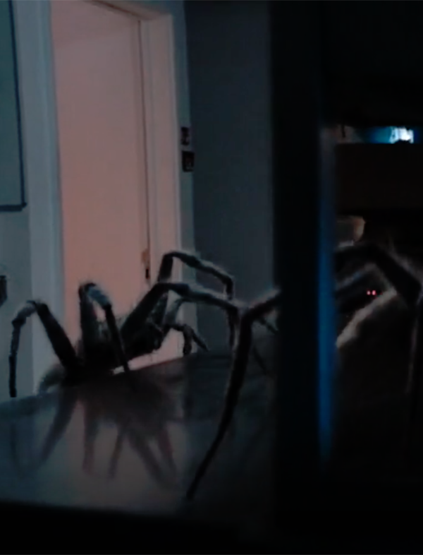 DW SPIDERS.png