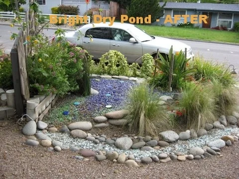 Front+yard+Pond+After+glass+3+-+with+Lincoln+parked+at+curb.JPG