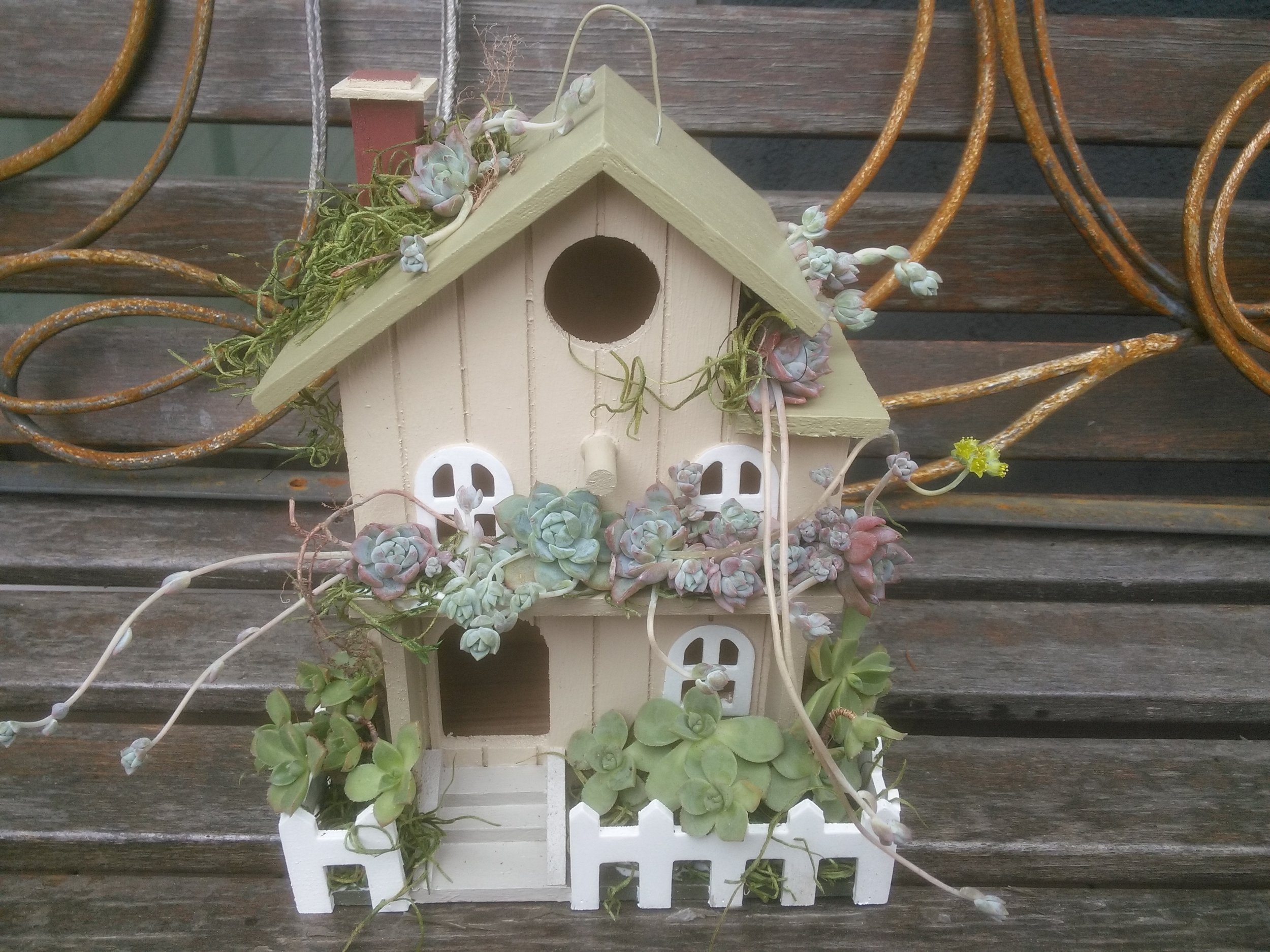 Light Green Birdhouse with Succulents.jpg