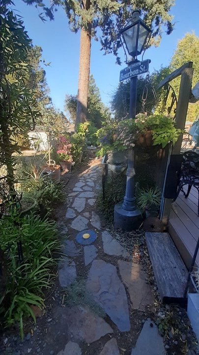 Backyard+North+Entrance++Vertical+View+Sun.%2C+Aug.+7%2C+2022.jpg