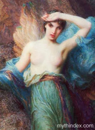 alcyonebird.jpg
