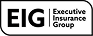 Executive Insurance Group