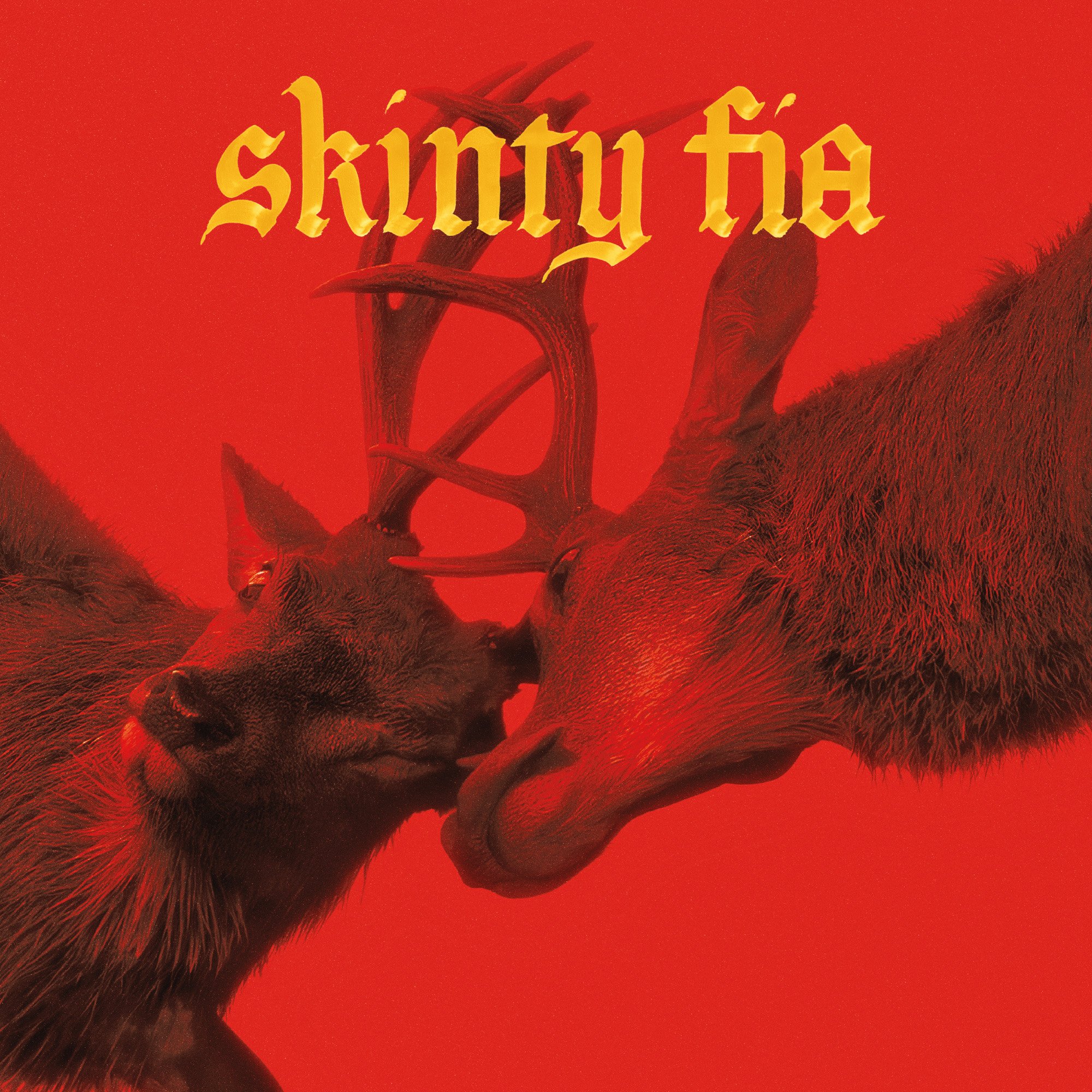 SkintyFia_Alternative_Artwork.jpg