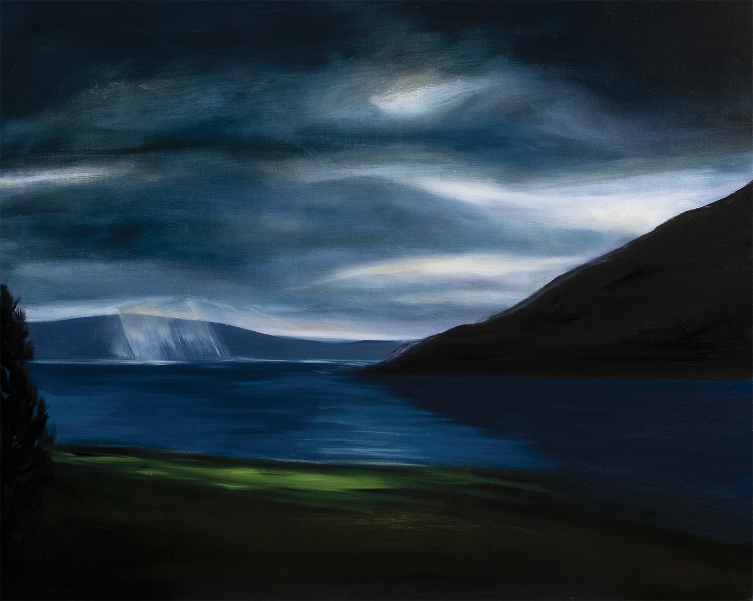 Alicia_Douglas-After_the_rain-2018-Oil_on_linen-61.96x76.2cm.jpg