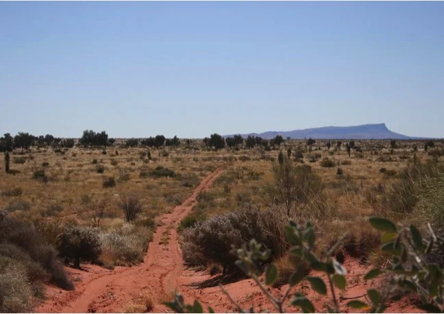 desert_road.jpg