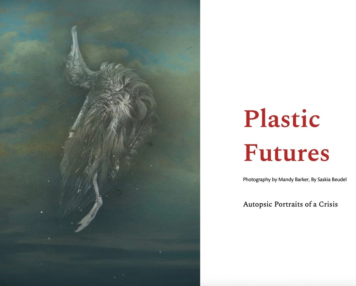 Plastic Futures pic.jpeg