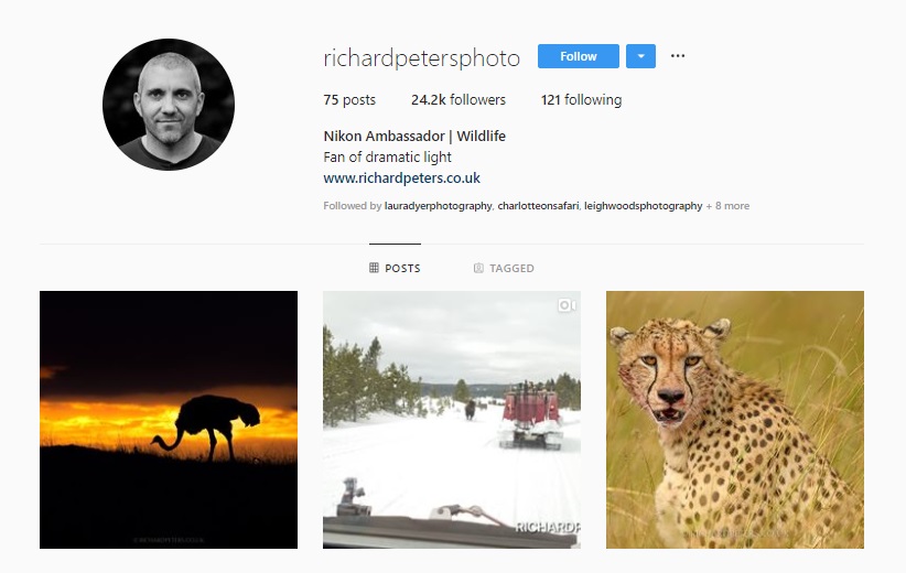 21 Inspiring Wildlife Photographers to Follow on Instagram — Wildlife Woods