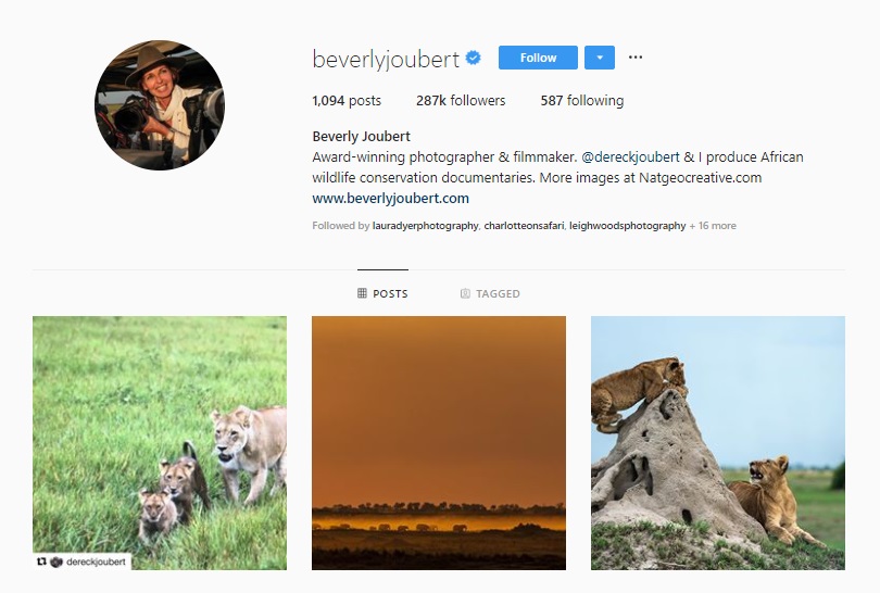 21 Inspiring Wildlife Photographers to Follow on Instagram — Wildlife Woods