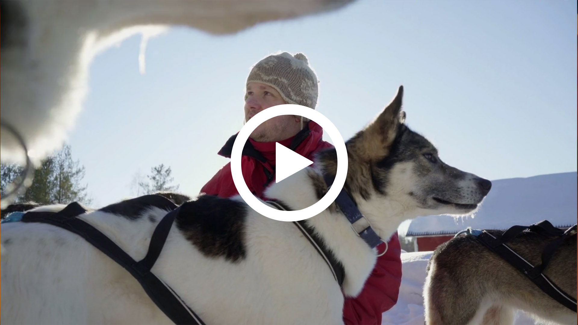 Holte förenar djurklinik med fritidsintresset