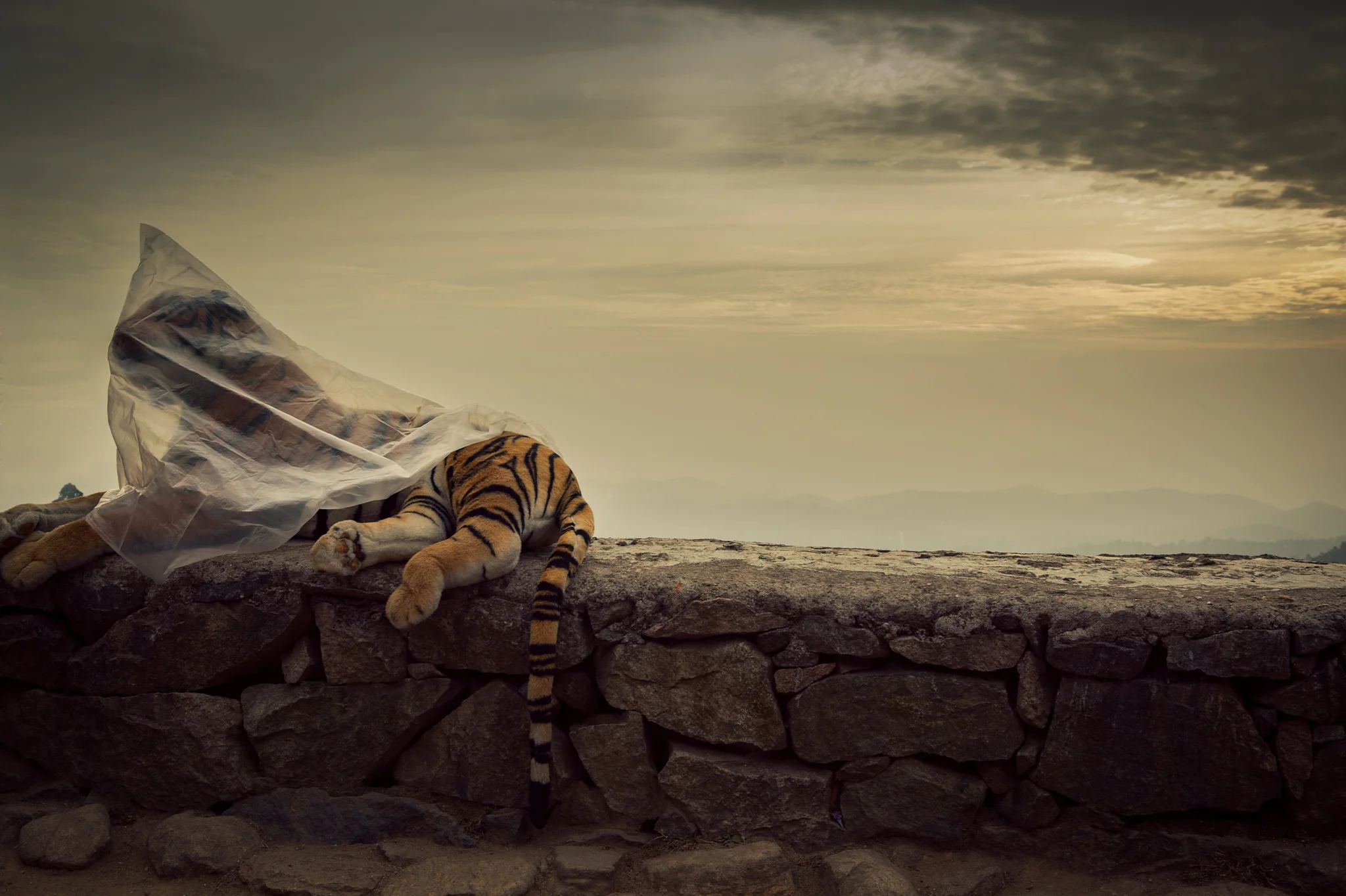 ©ThomasWoollard2012_India--2.jpg