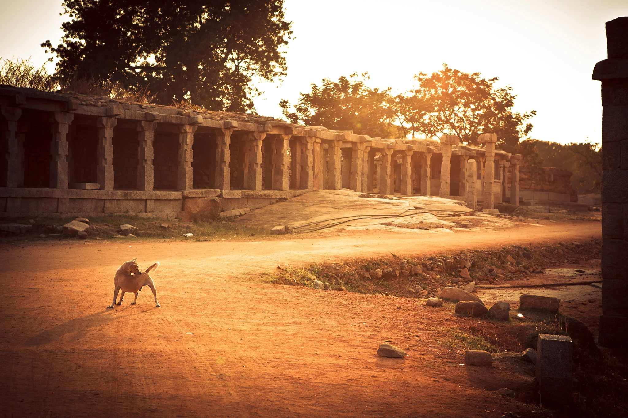 ©ThomasWoollard2012_India-2180.jpg
