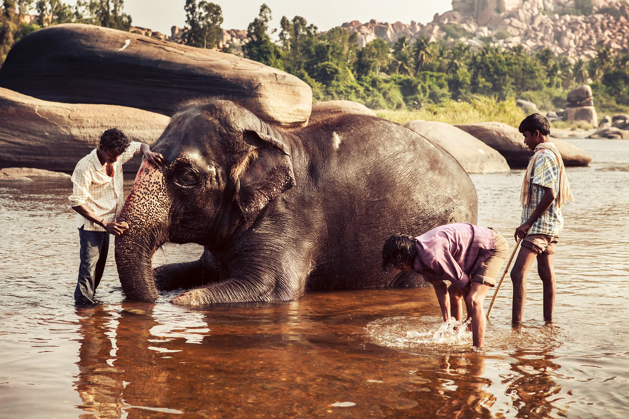©ThomasWoollard2012_India-2236.jpg