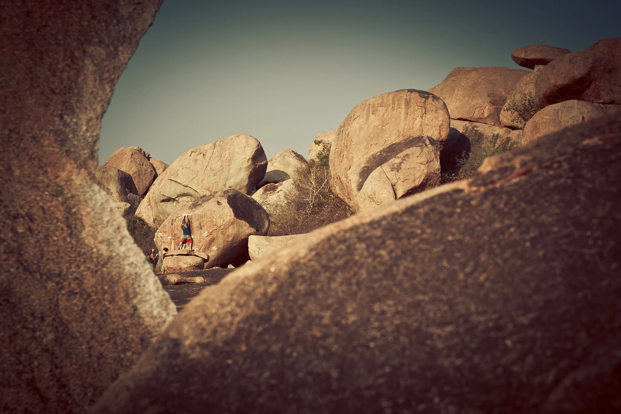 ©ThomasWoollard2012_India-2414.jpg