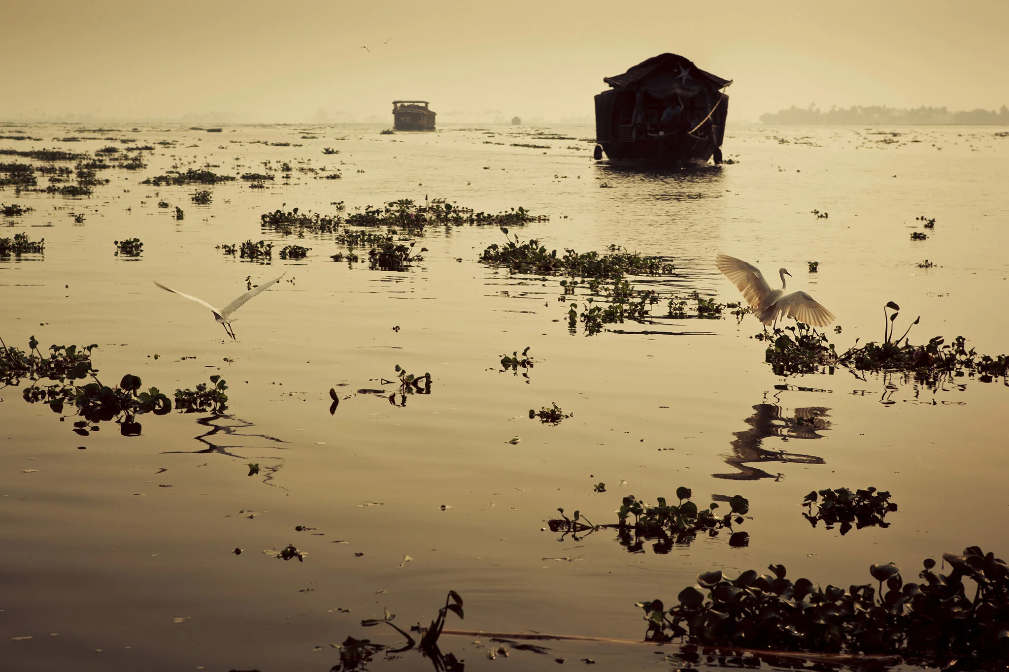 ©ThomasWoollard2012_India-3185.jpg