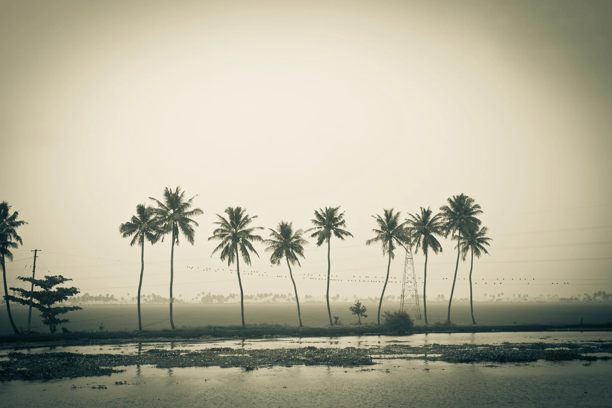 ©ThomasWoollard2012_India_extra-2983.jpg