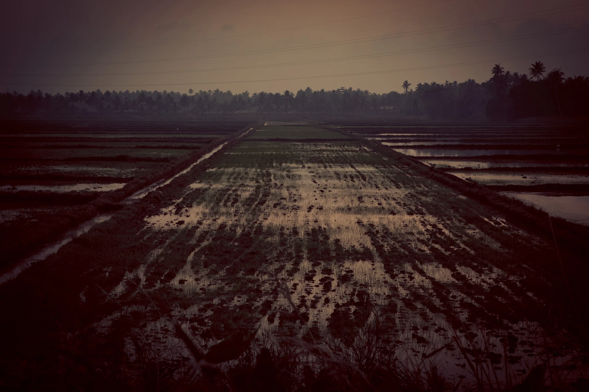 ©TomWoollard_India-3045.jpg