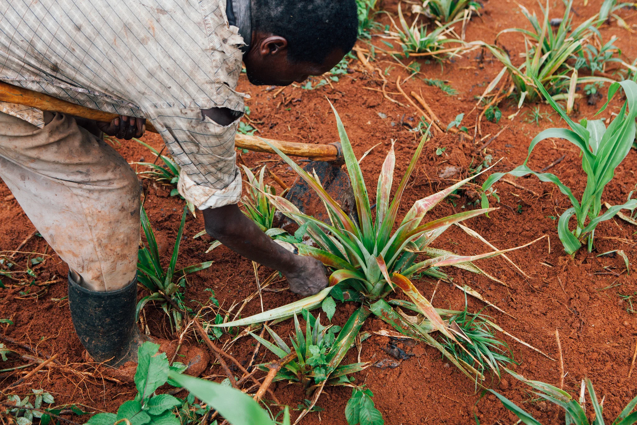 ©TomWoollard_YSB_Uganda_Dec16-0502-2.jpg