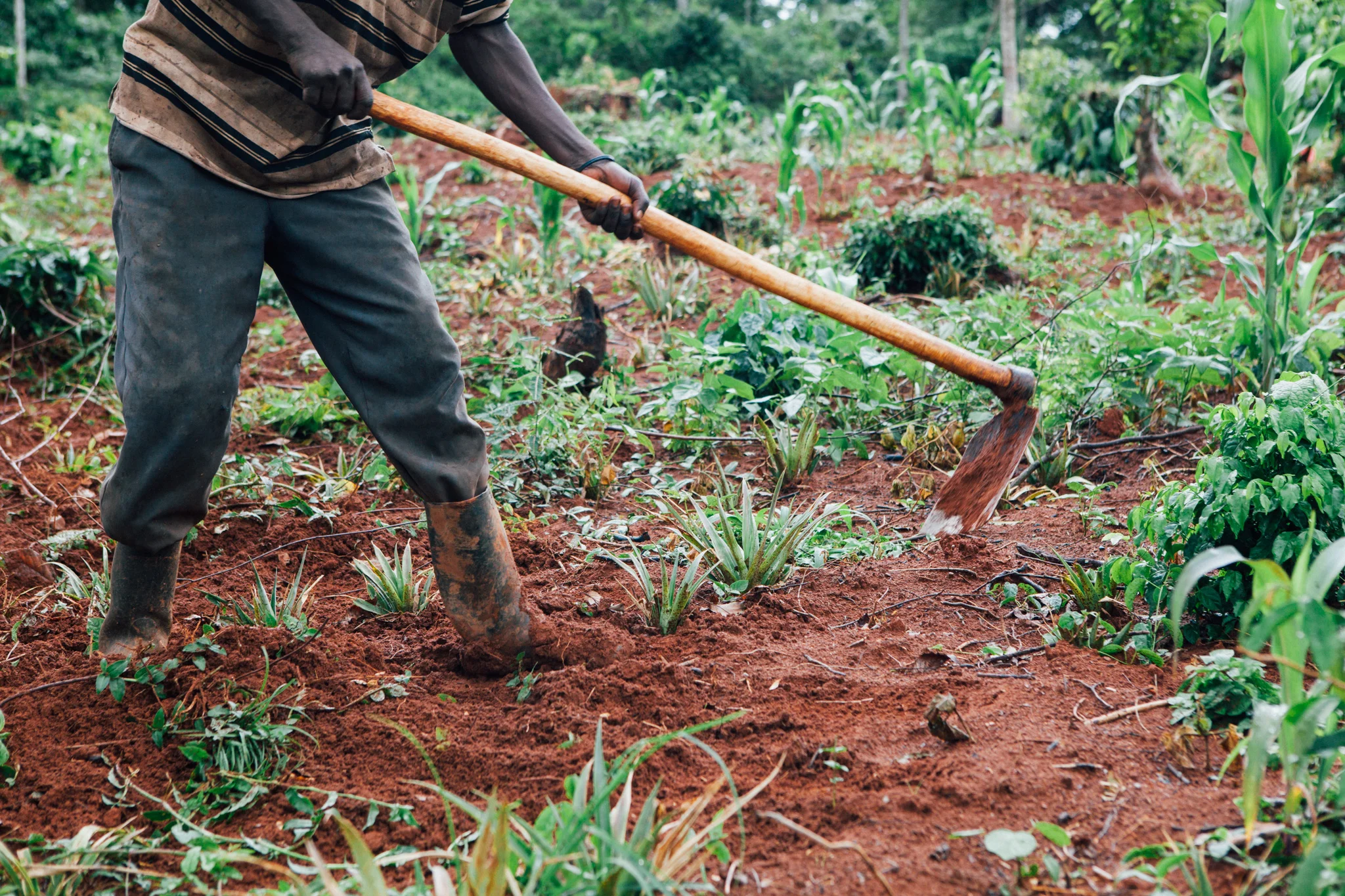 ©TomWoollard_YSB_Uganda_Dec16-0517.jpg