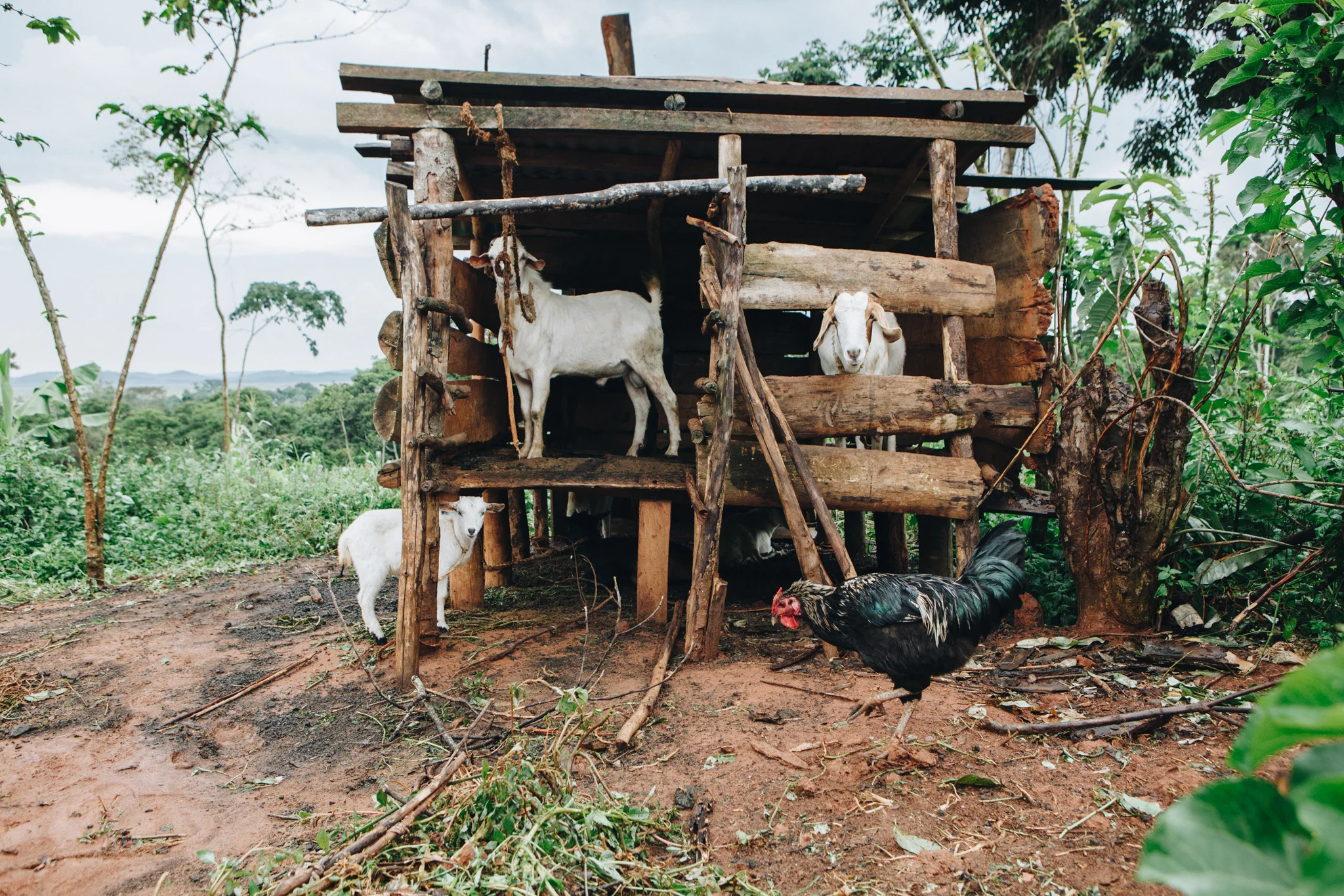 ©TomWoollard_YSB_Uganda_Dec16-0559.jpg