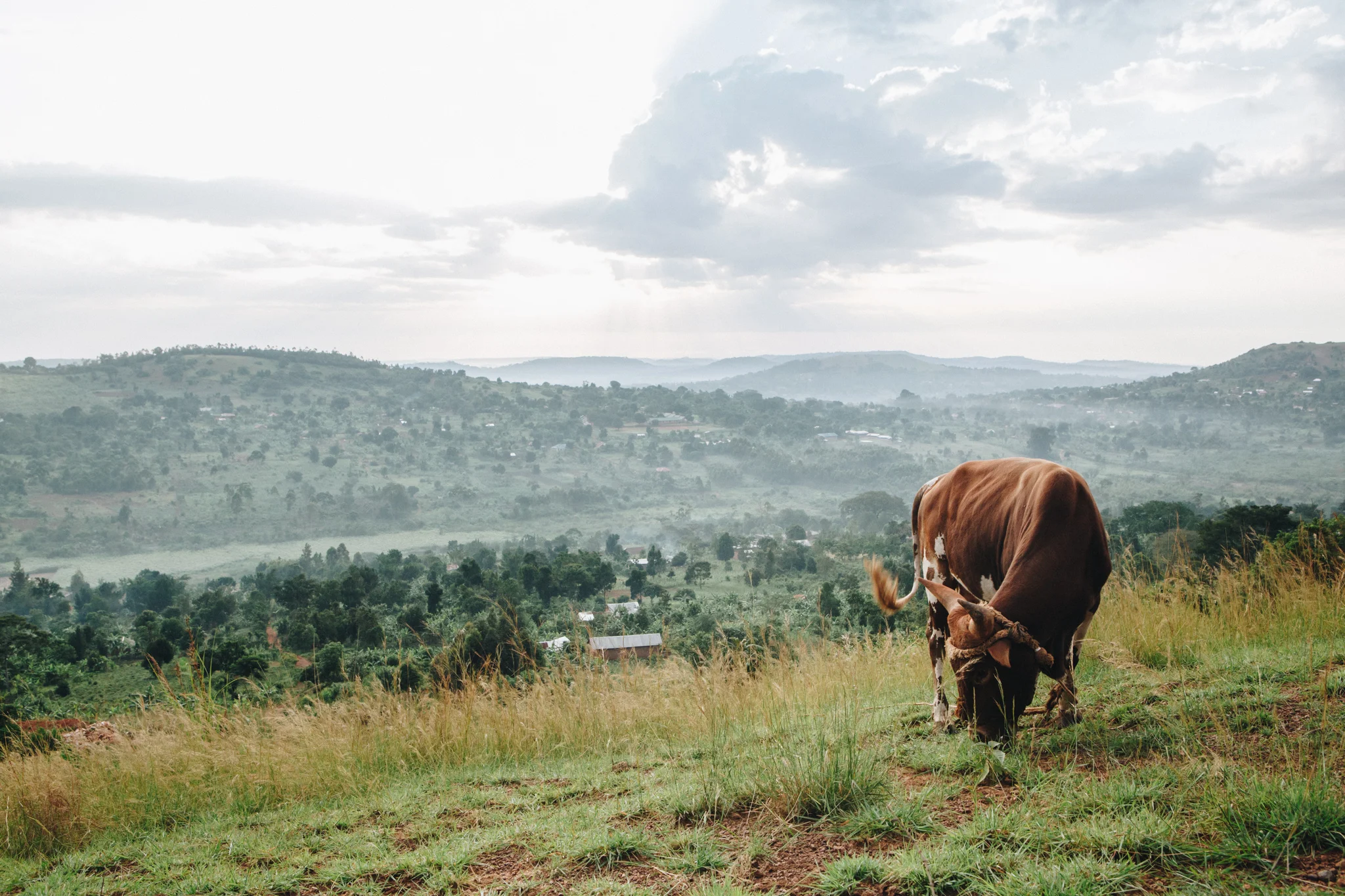 ©TomWoollard_YSB_Uganda_Dec16-0260.jpg