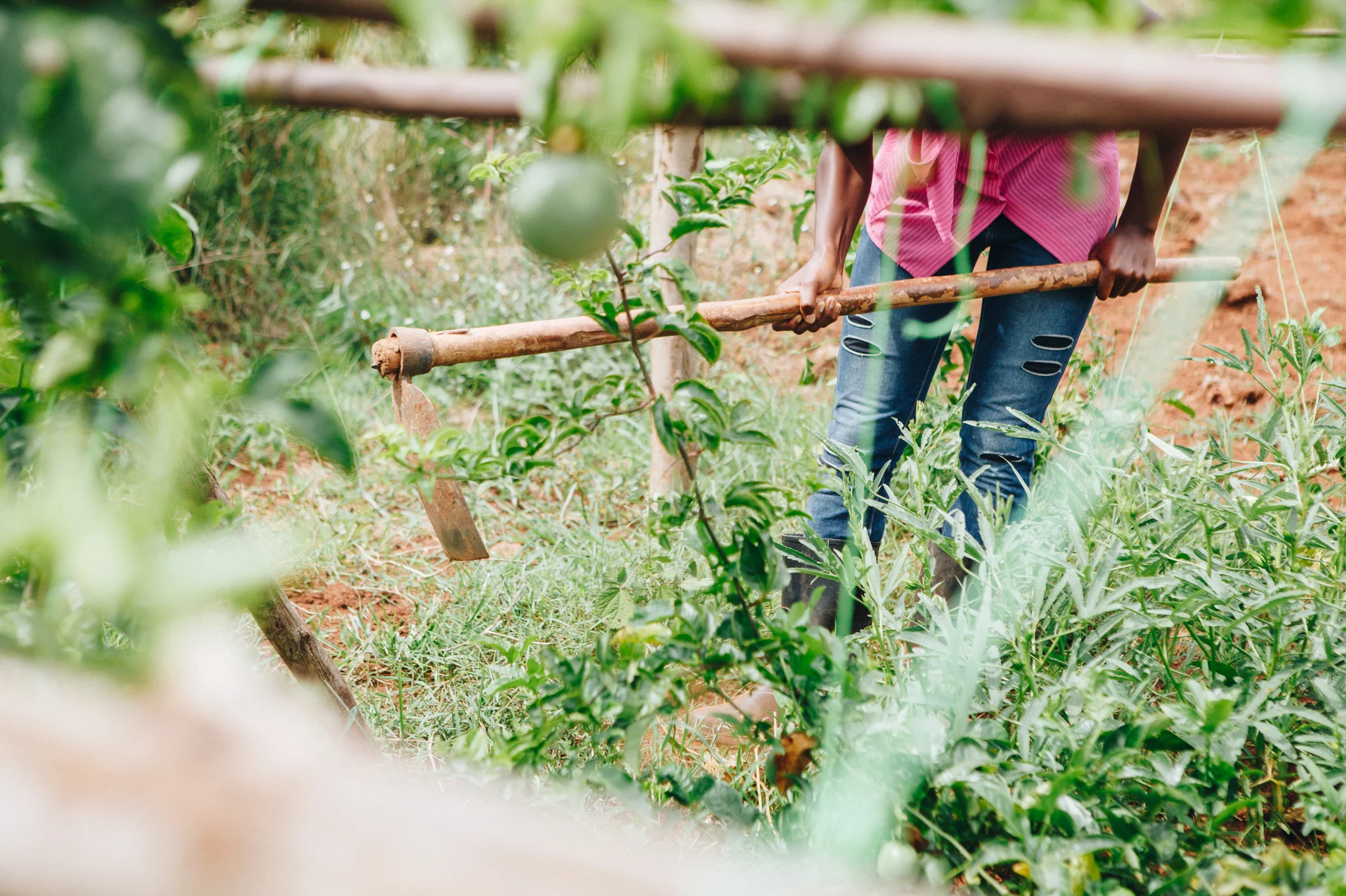©TomWoollard_YSB_Uganda_Dec16-0773-2.jpg