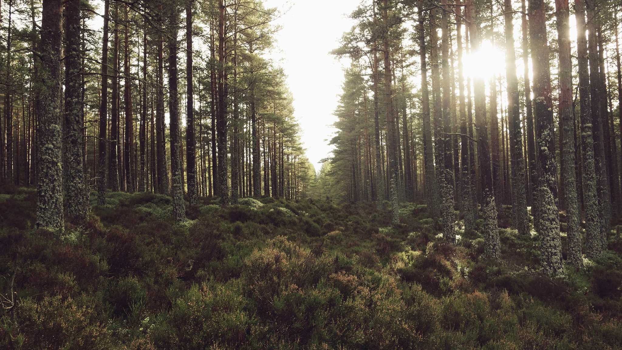 ©TomWoollard_Climbing_Scotland1.jpg