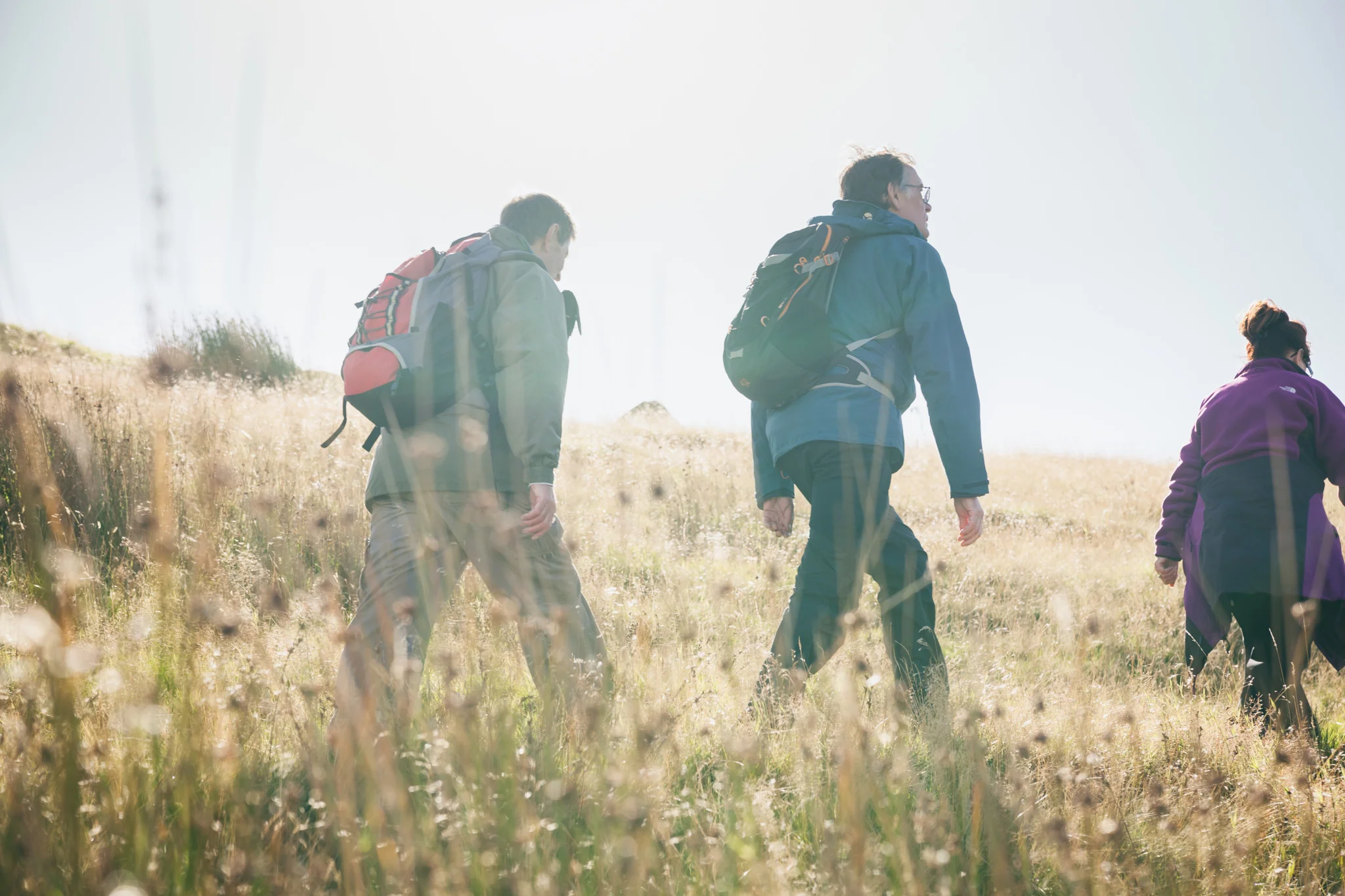 Walkers_Are_Welcome-16.jpg