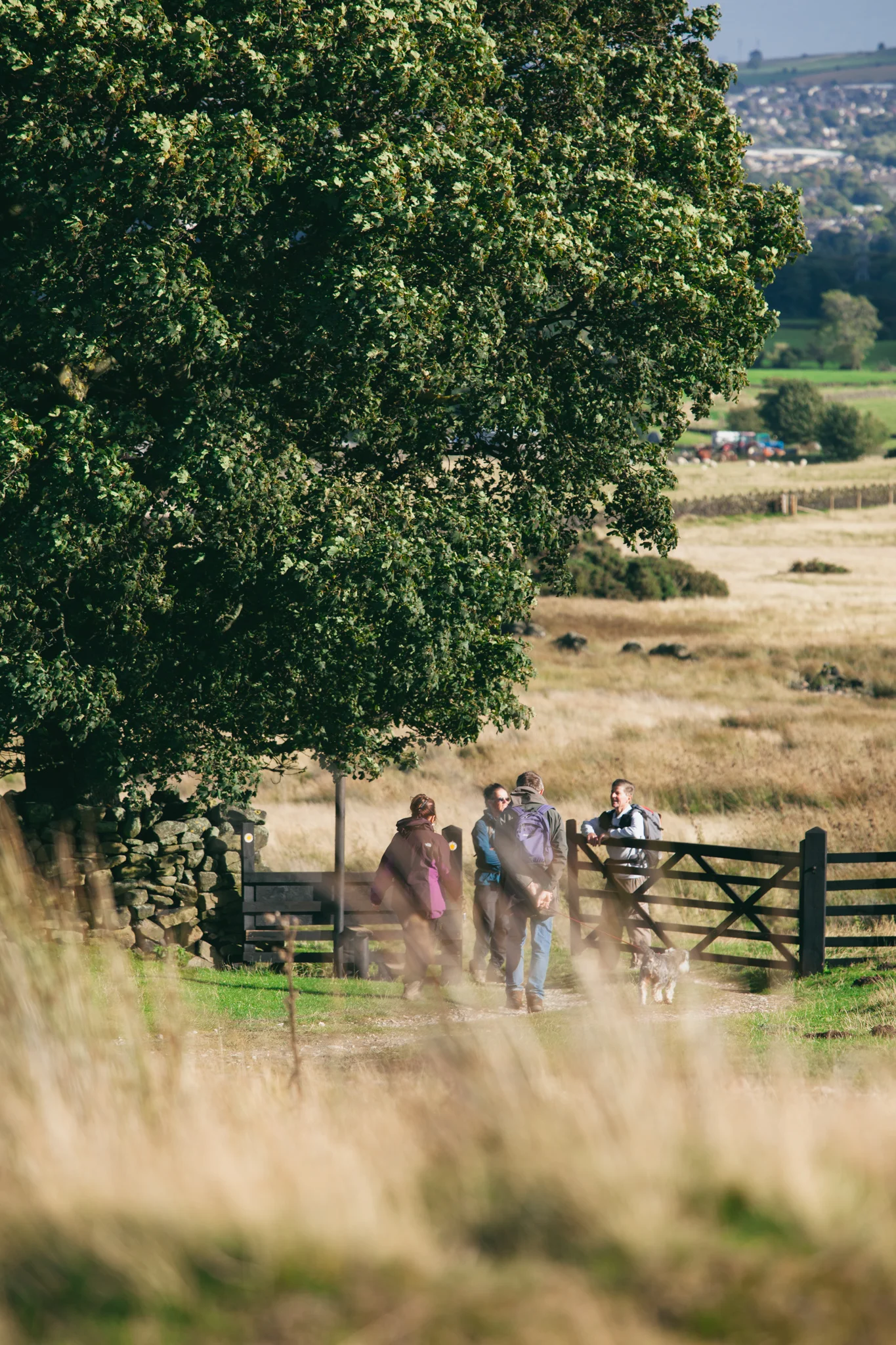 Walkers_Are_Welcome-977.jpg