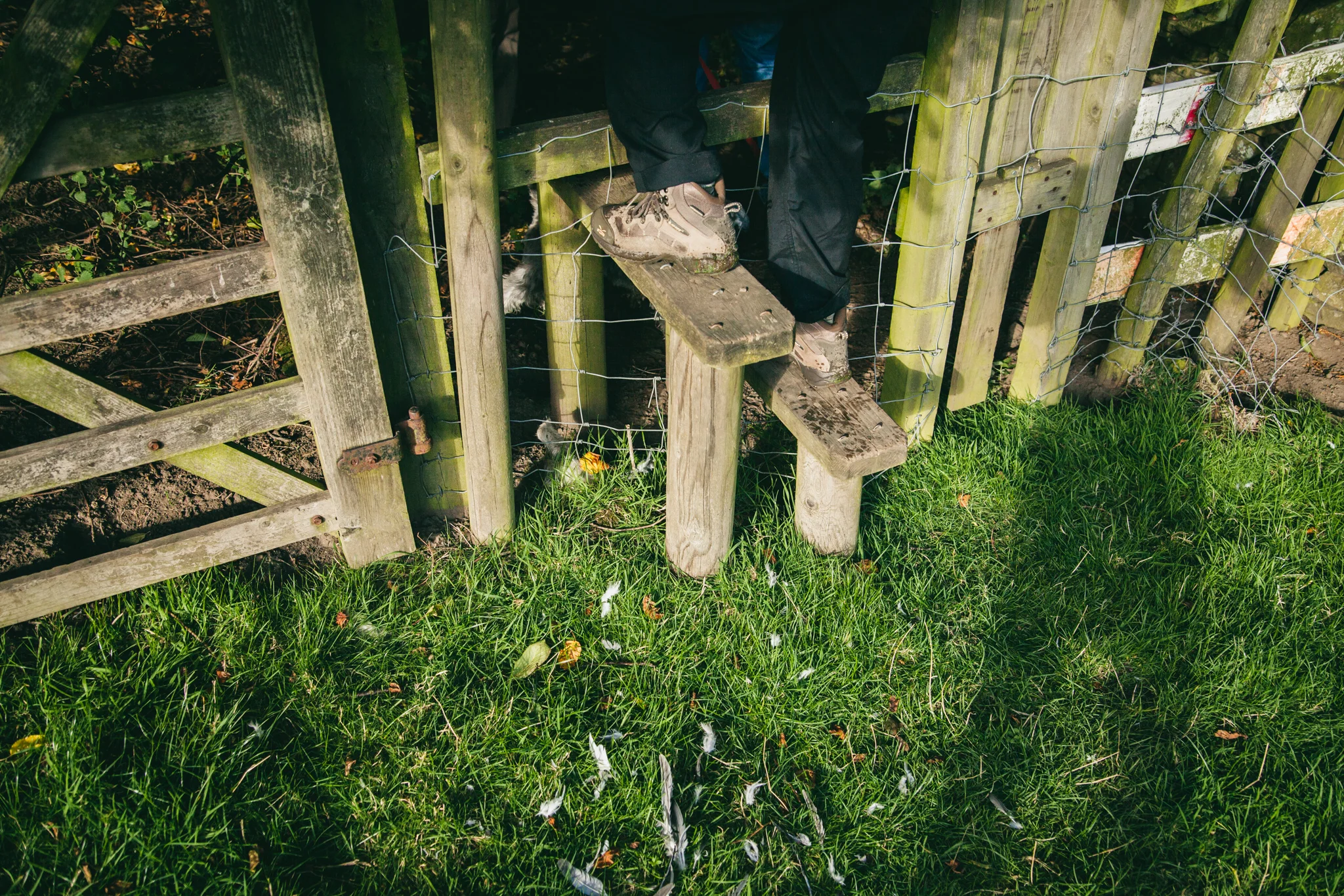 Walkers_Are_Welcome-1136.jpg